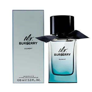 Burberry Mr Burberry Element EDT 150ml
