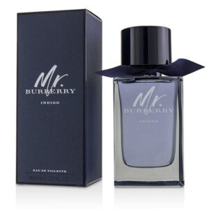 Burberry Mr Burberry Indigo EDT 150ml