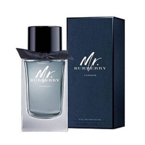 Burberry Mr. Burberry Indigo EDT 100ml