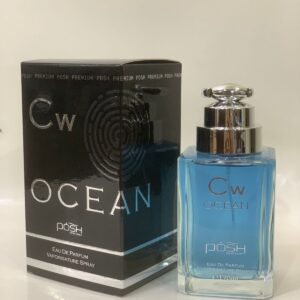 Posh Premium Cw ocean Edp 100ml impression of cool water