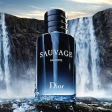 Sauvage Eau Forte Alcohol-Free Fragrance - Fresh and Intense Notes Parfum 100ml